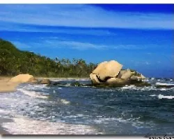 Escultura Natural