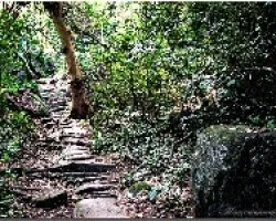 Caminos de piedra