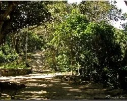 Caminos de piedra