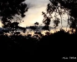 lacarpi otro dia otro sol 