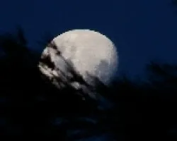 misma  luna diferente escondite