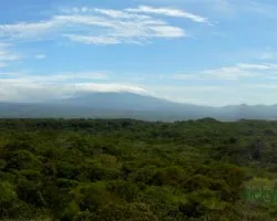 bosque seco
