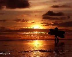 surfers