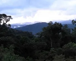 copal panoramica