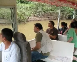 Paseadores