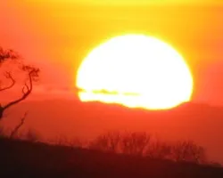 sunshine