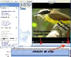 Como hacer un gif, desde un video o una ráfaga