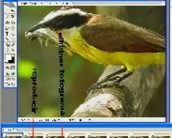 Como hacer un gif, desde un video o una ráfaga