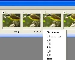 Como hacer un gif, desde un video o una ráfaga