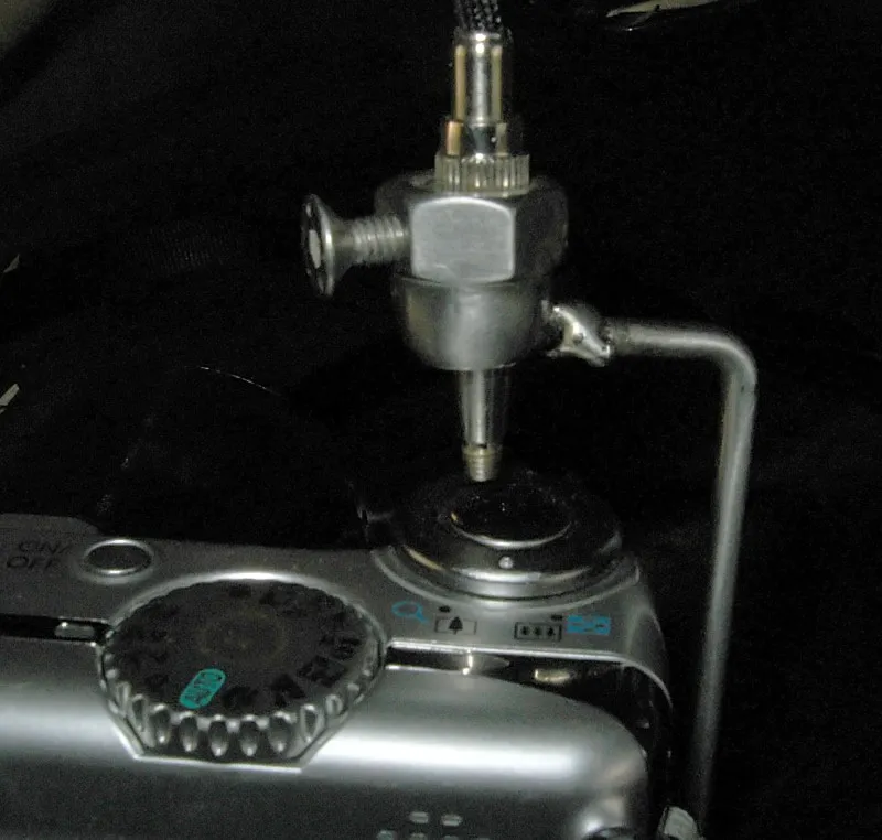 Foto