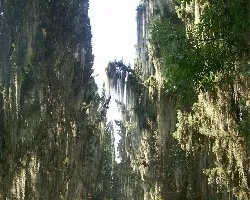 la entrada de un lugar maravilloso