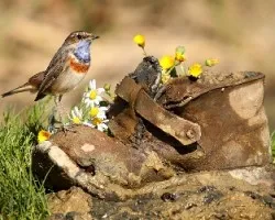 Una Composicion diferente