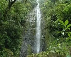 Catarata Salto de la Danta