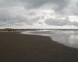 Parque Nacional Marino Ballena