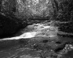 Costa Rica paraiso natural!