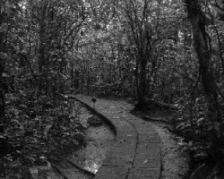 Costa Rica paraiso natural!