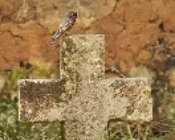 Sobre la cruz
