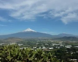 Desde la nopalera