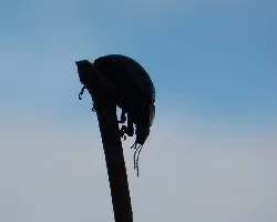 A contraluz