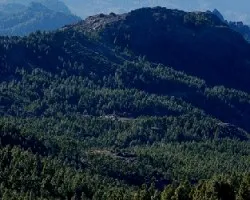 Montanas