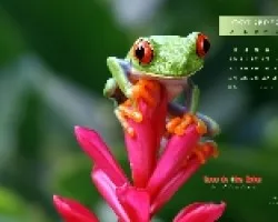 Fondo de Pantalla Octubre