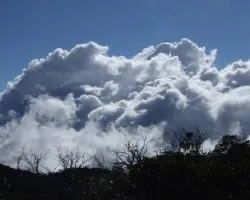 Nubes