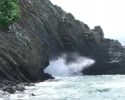 Isla Ballena