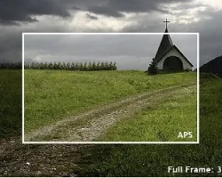 APS-Formato Completo