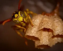 Con cara de pocos amigos (2)
