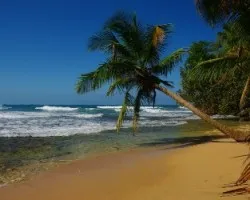 Paraiso relajante