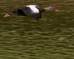 En vuelo 2