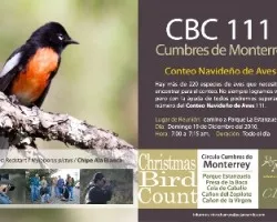 CBC Cumbres de Mty