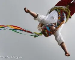 volador