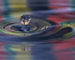 Reflejos