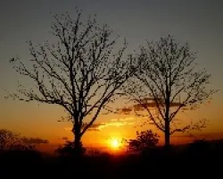 Ocaso