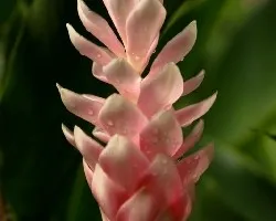 Obra maestra