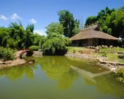 Jardín Japones