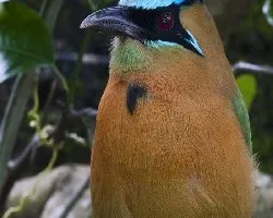 Me mira