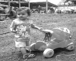 Pequeño Ganadero