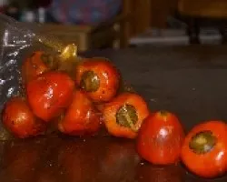 Pejjivalles