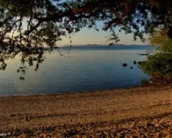 Una Tarde en El Coto