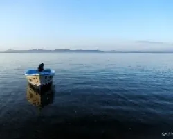 Zulu
