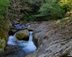 Junto al Rio Blanco