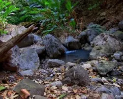 Azufrales