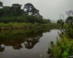 Laguna Vueltas