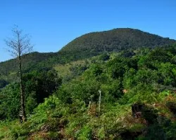 Hacia La Roca