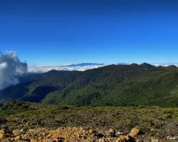 Puro Paramo