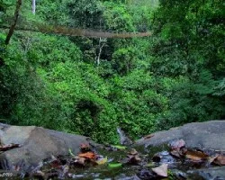 Sobre lo Verde