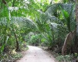 Sendero Tropical