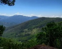 La Trinidad de un Vistazo